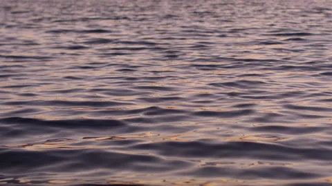 Close-up of the surface of the water in the river Vídeo Stock 121997431