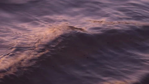 Close-up of the surface of the water in the river Video stock 122007555