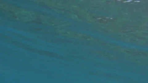 Close Up of Surfer Riding the Waves Stock Footage 83044614