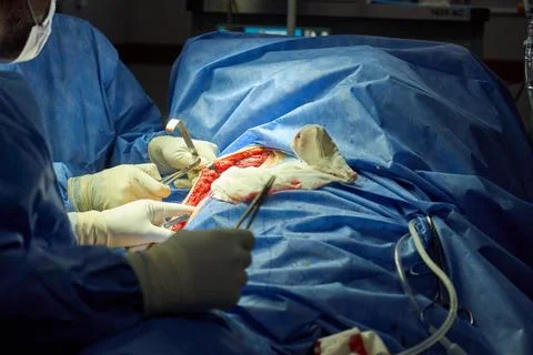 Close up of a surgery procedure in progress Stock Photos
