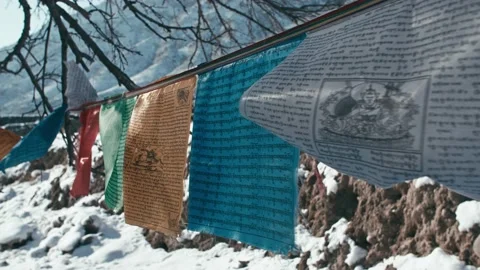 Close-up of sutra flags in the winter sun of Tibetan Buddhism 動画素材 233598929