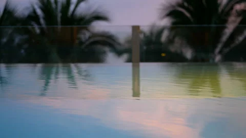 Close up of swaying coconut palm tree from sea wind at evening time after sunset Stock Footage 135793703