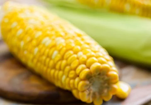 Close up Sweet boiled corn Stock Photos