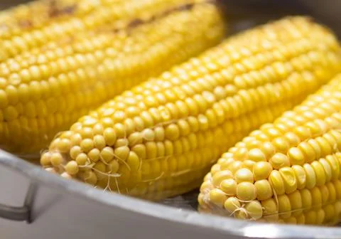 Close up Sweet boiled corn Stock Photos