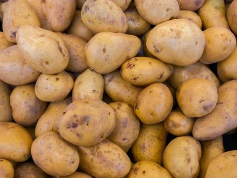 Close up of  sweet potato Stock Photos