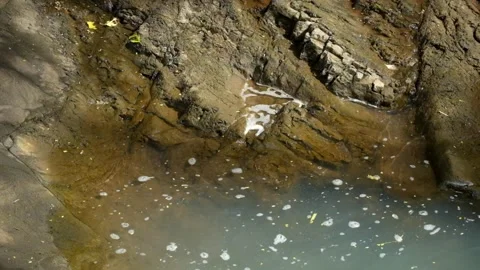 Close up of swirling currents on the riverbank Stock Footage 336878340