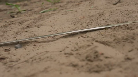 Close up of sword with crossguard lying on sandy ground with small plants Stock Footage 345091486