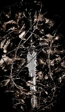 Close up of the sword. Stock Photos