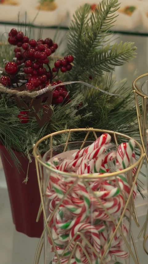 Close-up of table with two vases with candy canes and a Christmas tree Stock Footage 344631952