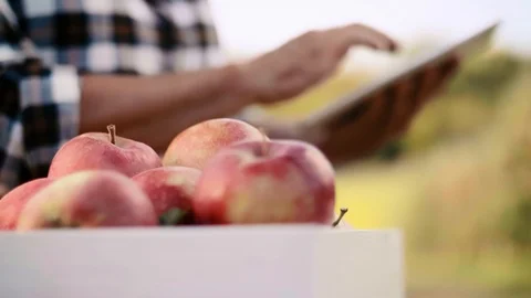 Close up of tablet used in the orchard 스톡 동영상 117354741
