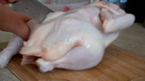 Close-up take your foot off the carcass of a chicken 4K Vídeo Stock 100520185