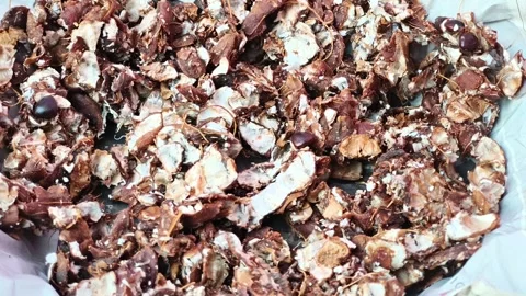 Close-up of Tamarind Shells in Bulk Stock Footage 321422728