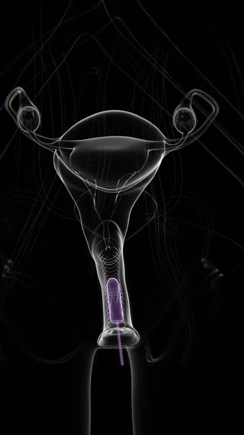 Jinsiy aloqani uzaytiradigan pozitsiyalar