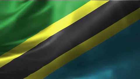 Close-up of the Tanzania flag waving in the wind. Tanzania national flag waving  Stock Footage 245183763