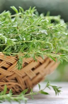 Close on tarragon in a basket Stock Photos