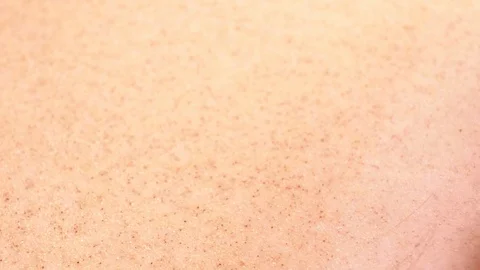 Close-up of tasty pizza slice with pineapple and cowberry in clean white plate Video stock 123659925