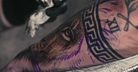 Close up tattoo artist shows the process of getting tattoos with paint. Stock Footage 236337334