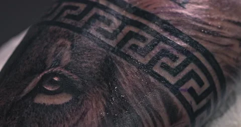 Close up tattoo artist shows the process of getting tattoos with paint. Stock Footage 236341047