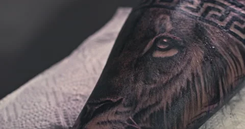 Close up tattoo artist shows the process of getting tattoos with paint. Stock Footage 236341139