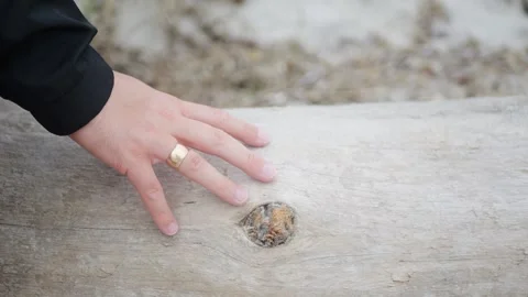 Close-up of a tattooed hand gently touching a weathered log outdoors... Stock Footage 317702823