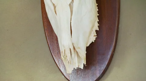 Close-up of taxidermy's on wall Stock Footage 54590498