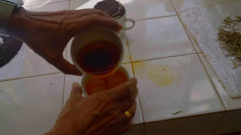 Close-up of tea cup testing different stages of  tea processing Video stock 107212234
