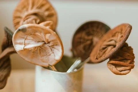 Close up tea filter bag Stock Photos