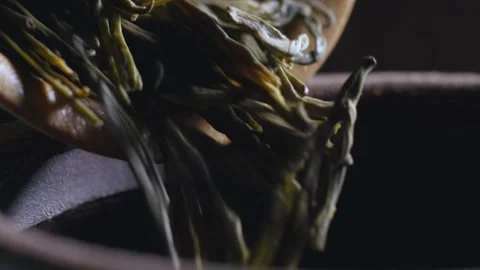 Close-up of tea Stock Footage 234495938