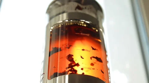 Close-up of tea leaves floating in boiling water in a tea pot. 動画素材 88986870