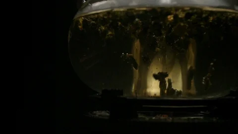 Close-up of tea leaves in a kettle Stock Footage 107822453