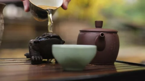 Close-up. a tea master washes away a figurine of a frog for a tea ceremony Stock Footage 220415218