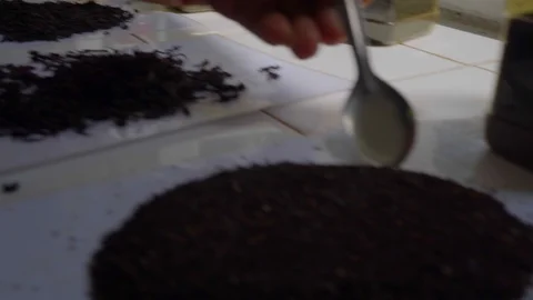 Close-up of Tea-tasters ensuring the final product passes the quality inspection Stock-Footage 107912912
