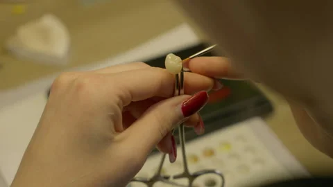 Close up of technician applying dental material to a fake tooth with a brush Stock Footage 248557873
