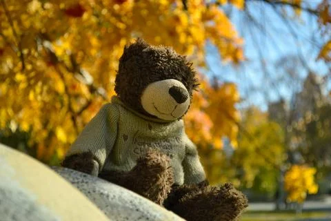 Close-up teddy bear sits on a stone in the autumn park Foto stock