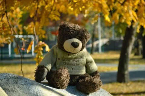 Close-up teddy bear sits on a stone in the autumn park Foto stock