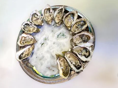 Close-up of ten oysters on half shell, arranged in a circle on a plate Mono.. 写真素材
