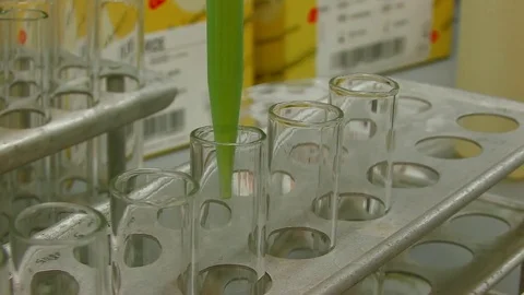 Close-up. Test tubes in a laboratory with reagents Stock Footage 82702526