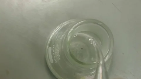 Close-up. Test tubes in a laboratory with reagents Stock Footage 82702559