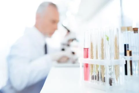 Close up of test tubes that standing on support Foto stock