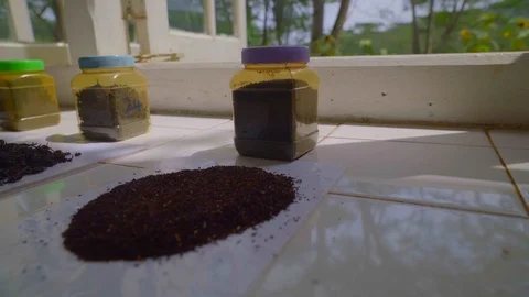 Close-up of testing different stages of  tea processing Stock Footage 107212822