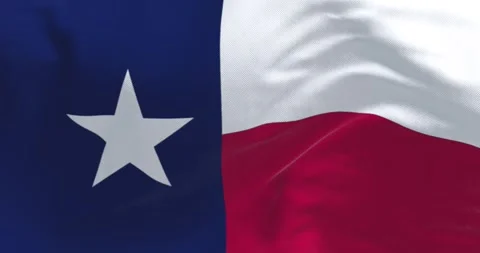 Close-up of Texas state flag waving in the wind Video stock 246860609