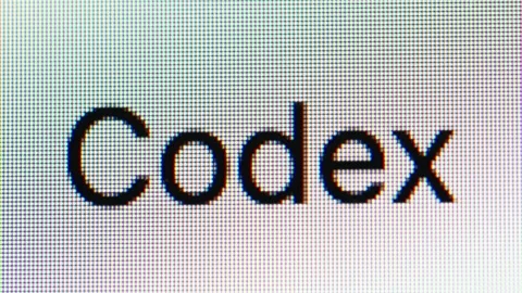 Close-up of text 'Codex' in a search box Stock Footage 336185140