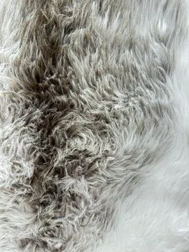 Close up texture of animal fur with gradient from gray to white, detailed Stock Photos
