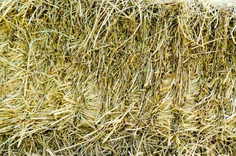 Close up Texture Background of brown straw heap Stock Photos