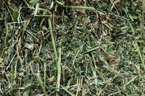 Close-up texture background of dried green hay and herbs Stock Photos