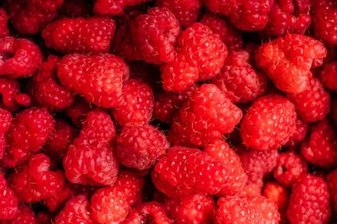 Close up texture background of raspberry berries Stock Photos