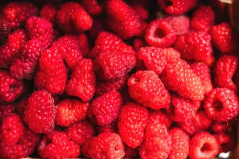 Close up texture background of raspberry berries 스톡 사진