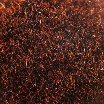 Close up of the texture of brown bristles on a makeup brush Stock Photos