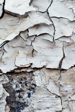 Close Up texture  of Chipped White peeling paint, covered with c Stock Photos