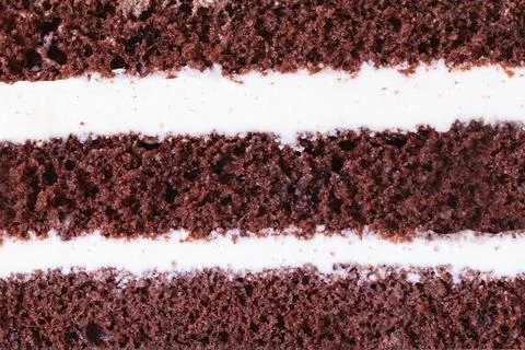 Close-up texture of chocolate sponge cake with cream layers. 스톡 사진